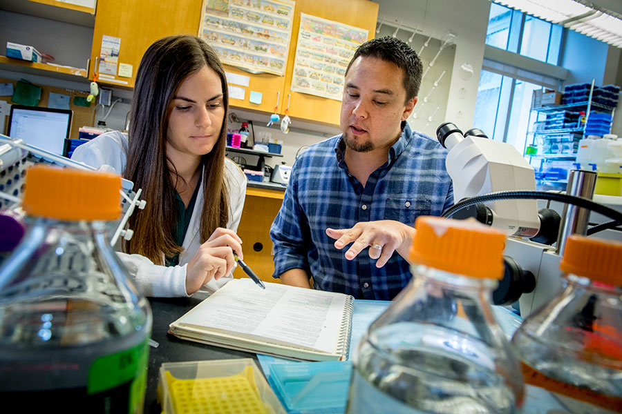 Student and faculty member in a chemistry lab looking into a textbook. The faculty member is pointing at the text.